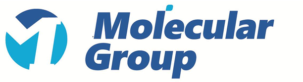 Brand logo 2